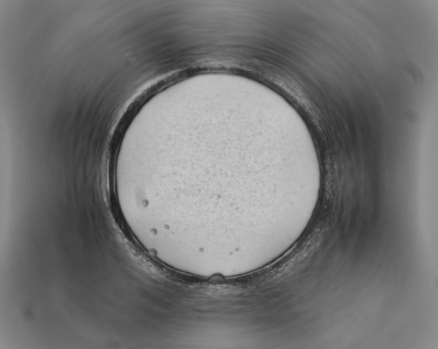 X0000112400984200909110925