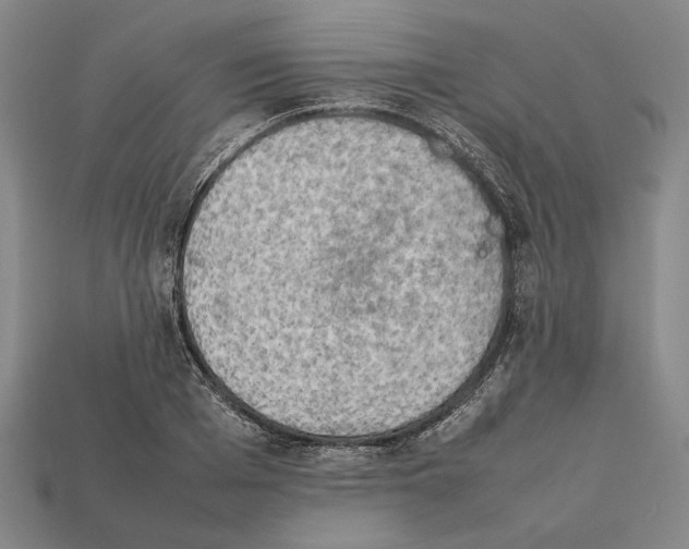 X0000112400985200909110925