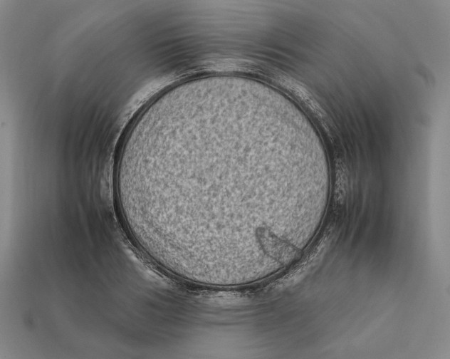 X0000112400986200909110925