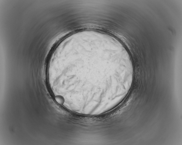 X0000112400987200909110925