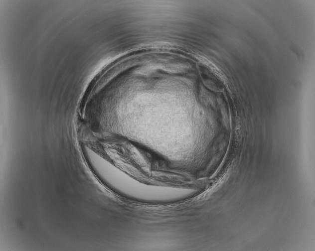 X0000112400989200909110925