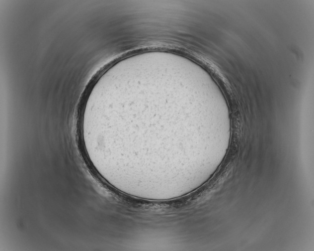 X0000112400991200909110925