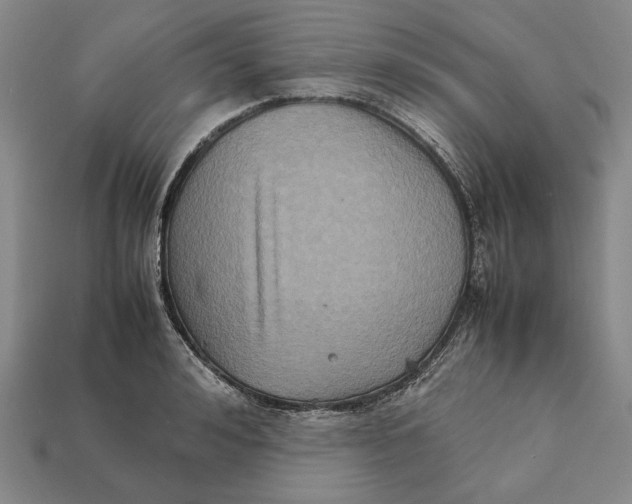 X0000112400992200909110925