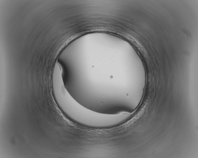 X0000112400993200909110925