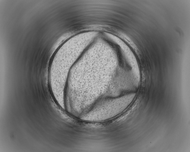 X0000112400994200909110925