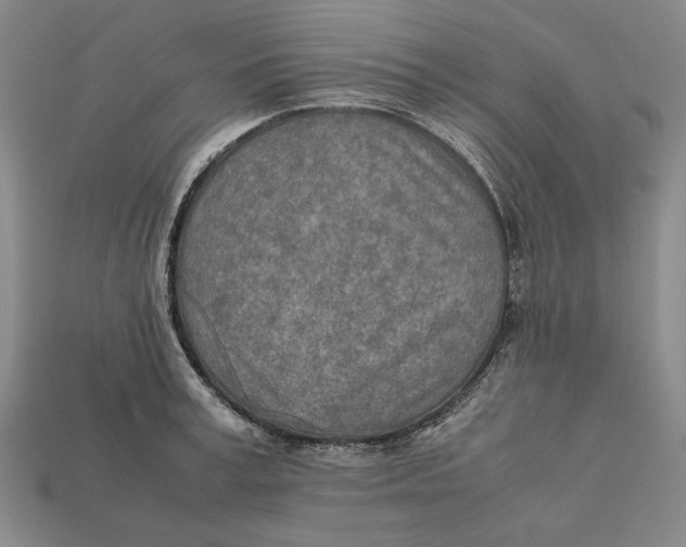 X0000112400995200909110925