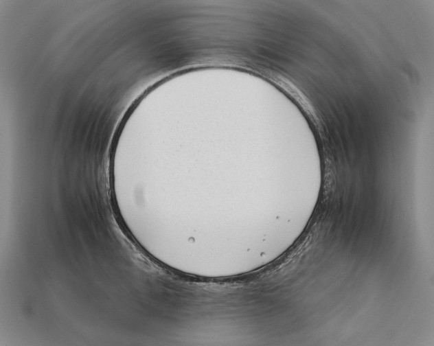 X0000112400996200909110925