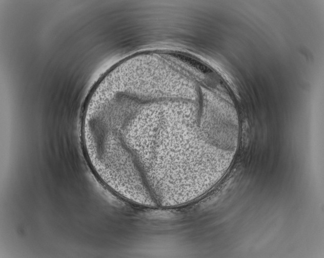 X0000112400998200909110925