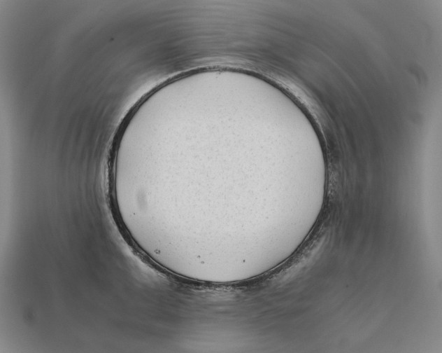 X0000112400999200909110925