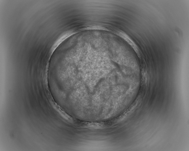 X0000112401002200909110925