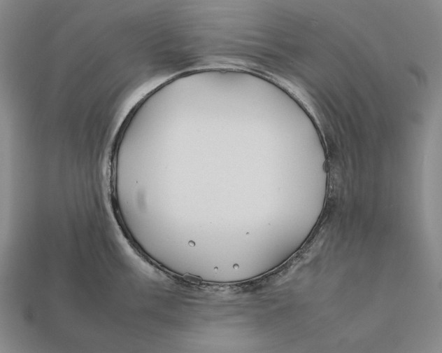 X0000112401003200909110925
