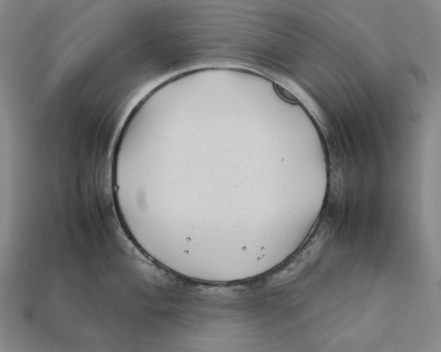 X0000112401004200909110925