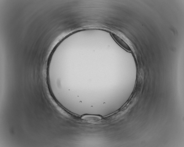 X0000112401005200909110925