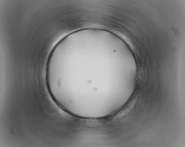 X0000112401007200909110925