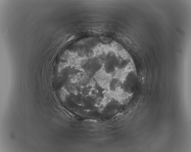 X0000112401009200909110924