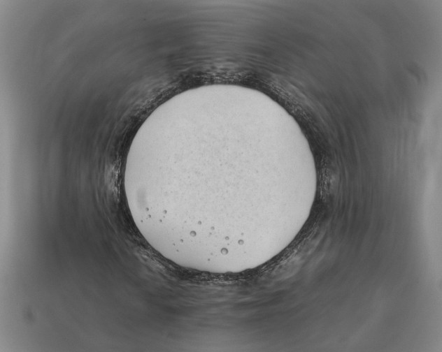 X0000112401010200909110924