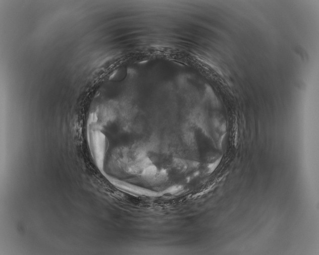 X0000112401013200909110924