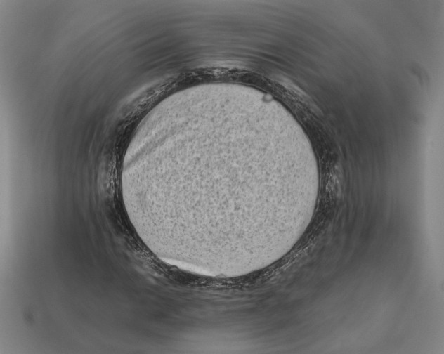 X0000112401014200909110924