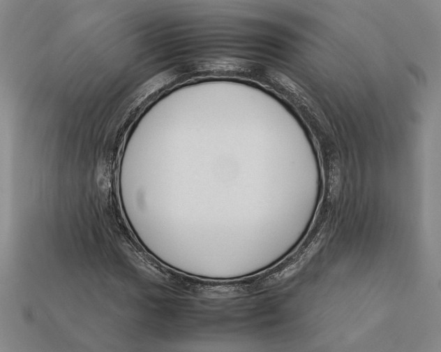 X0000112401017200909110924