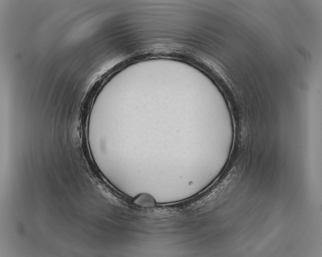 X0000112401018200909110924