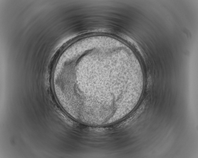 X0000112401019200909110924