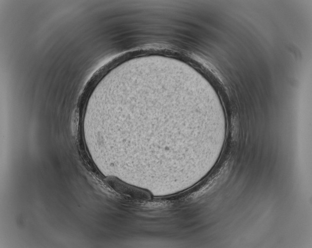X0000112401021200909110924