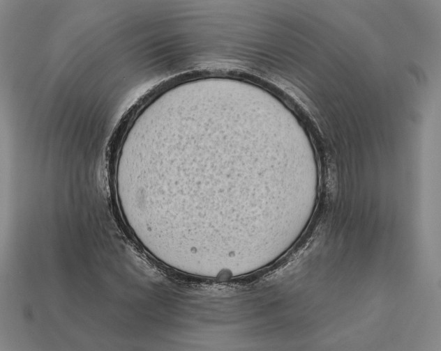 X0000112401022200909110924