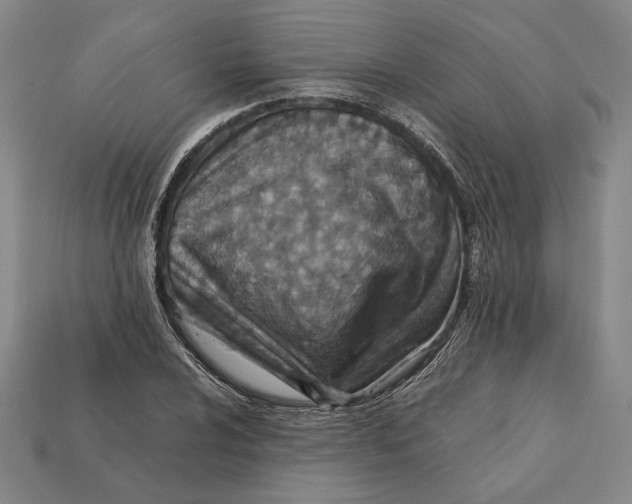 X0000112401024200909110924