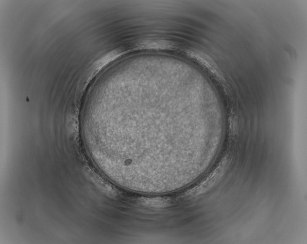 X0000112401025200909110924
