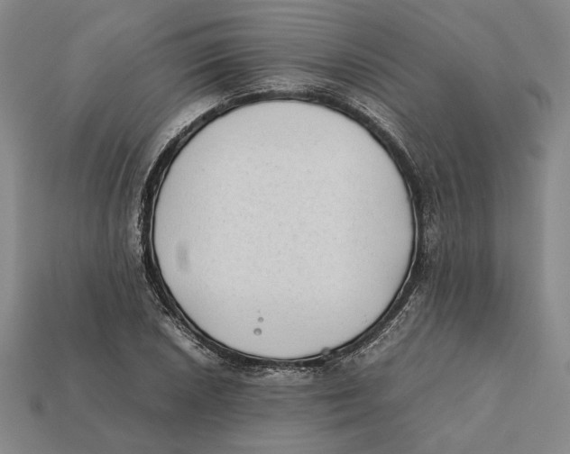 X0000112401026200909110924