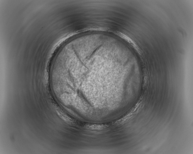 X0000112401027200909110924