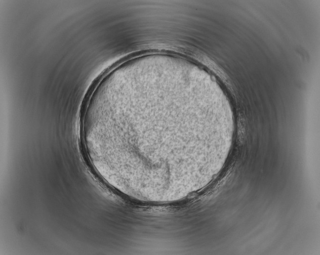X0000112401028200909110924