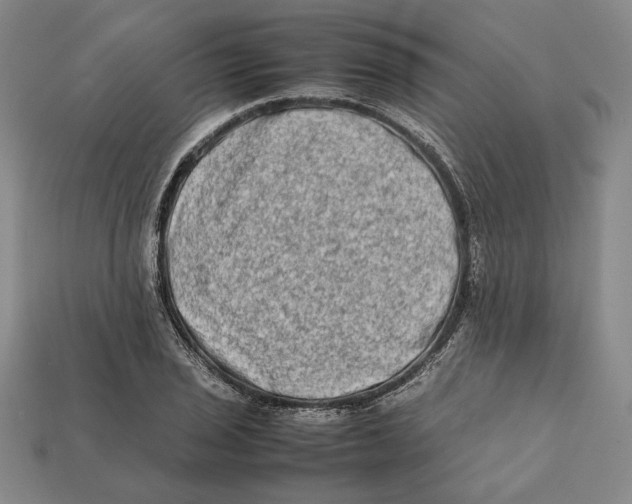 X0000112401029200909110924