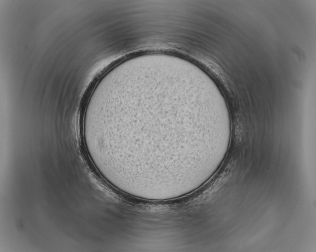 X0000112401030200909110924