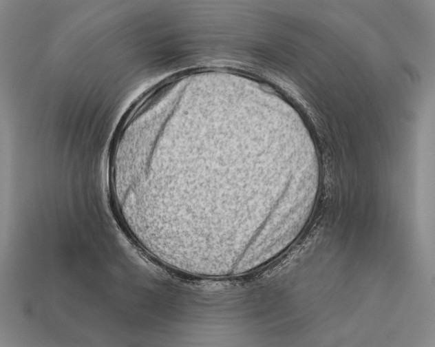 X0000112401032200909110925