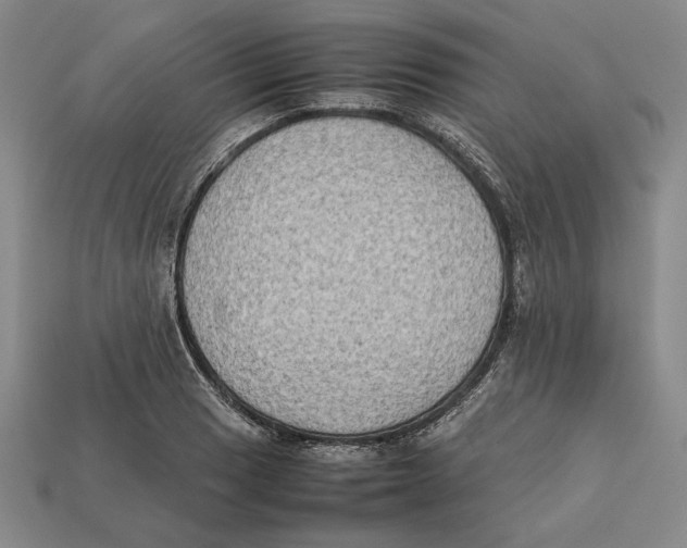 X0000112401033200909110925