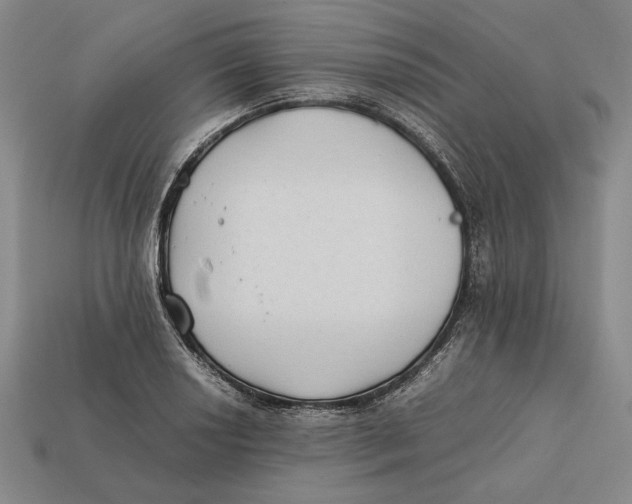 X0000112401034200909110925