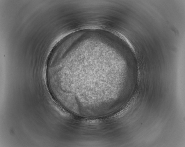 X0000112401035200909110925