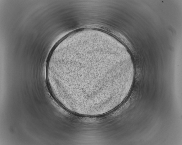 X0000112401036200909110925