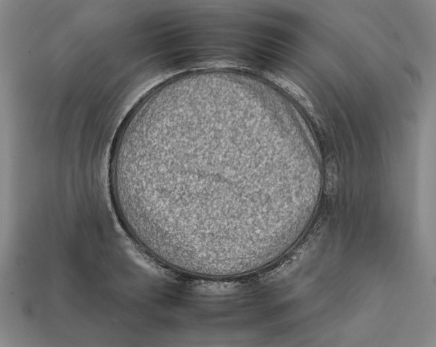 X0000112401039200909110925