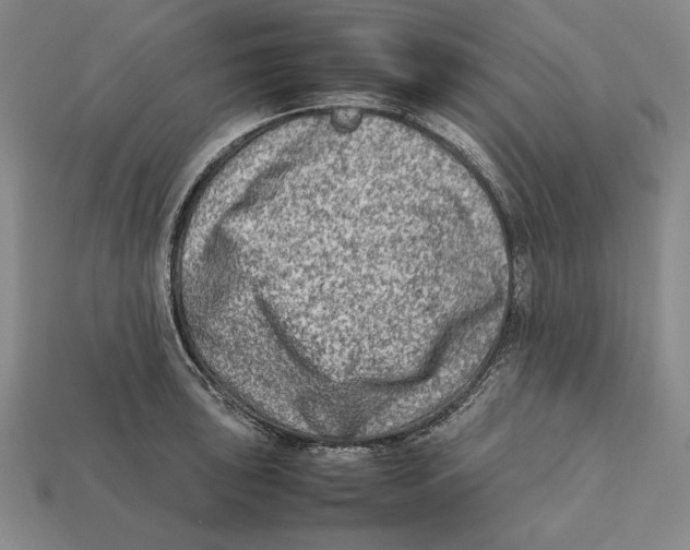 X0000112401043200909110925