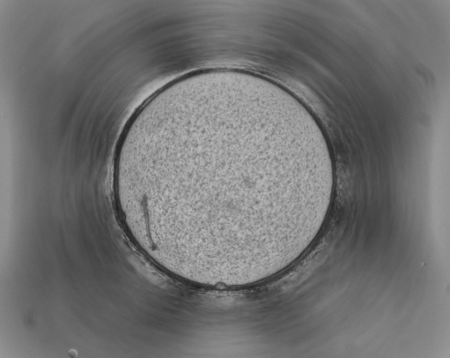 X0000112401044200909110925