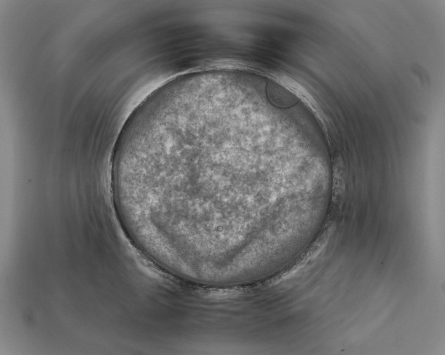 X0000112401047200909110925
