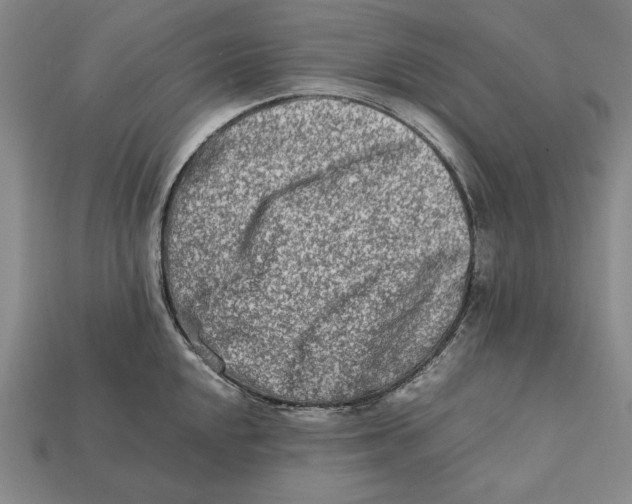 X0000112401048200909110925