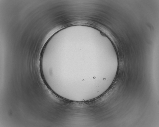X0000112401050200909110925