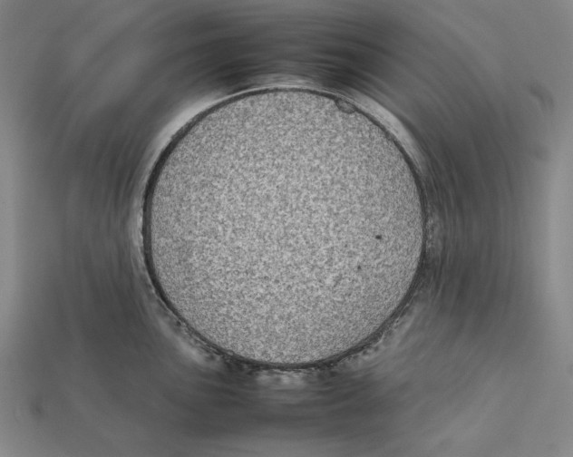 X0000112401051200909110925