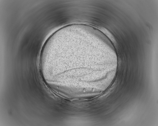 X0000112401052200909110925
