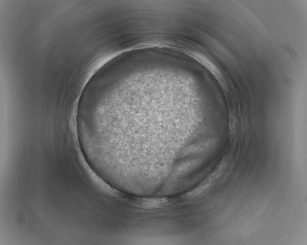 X0000112401055200909110925