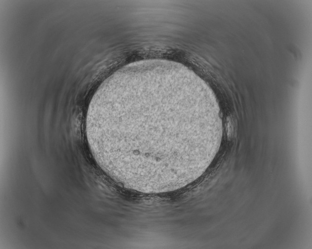 X0000112401059200909110924
