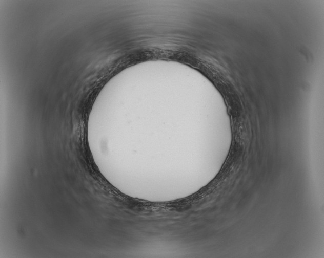 X0000112401061200909110924